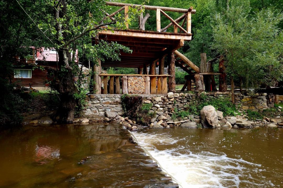 Photo of Others in Mehadica
