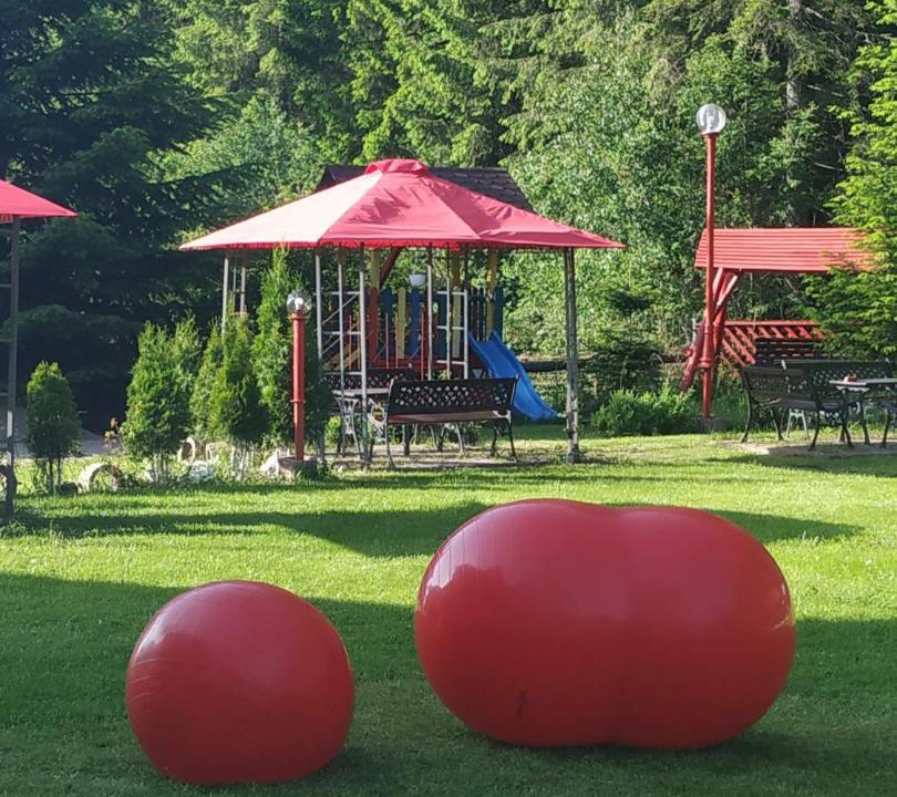 Photo of Outdoor in Moeciu de Sus