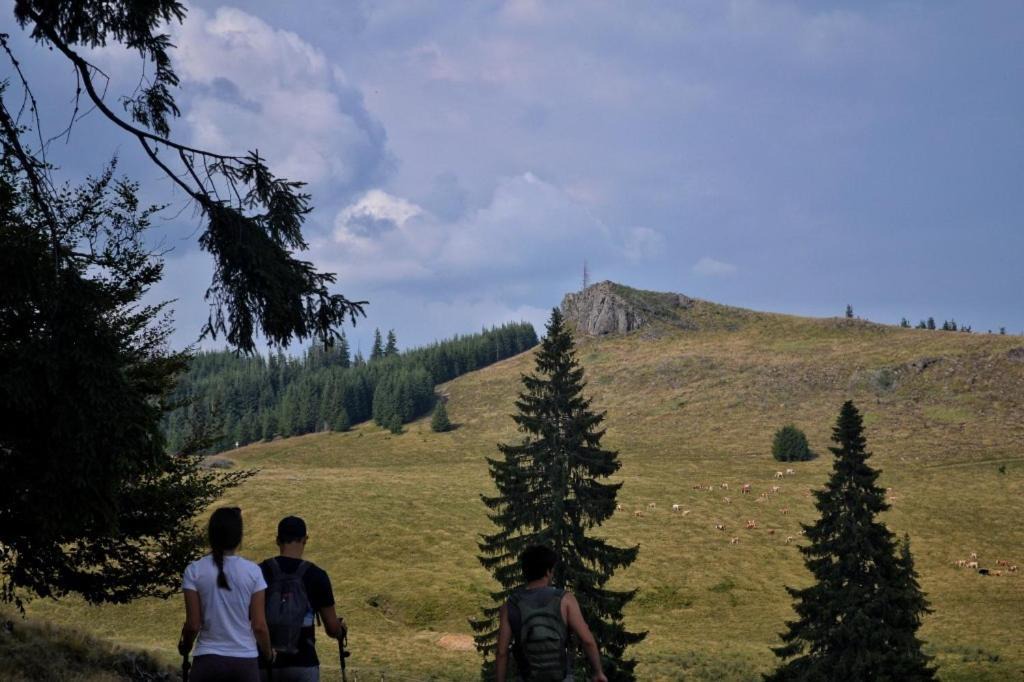 Photo of Others in Siculeni