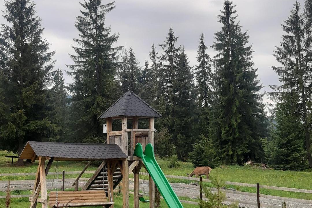 Photo of Others in Vatra Dornei