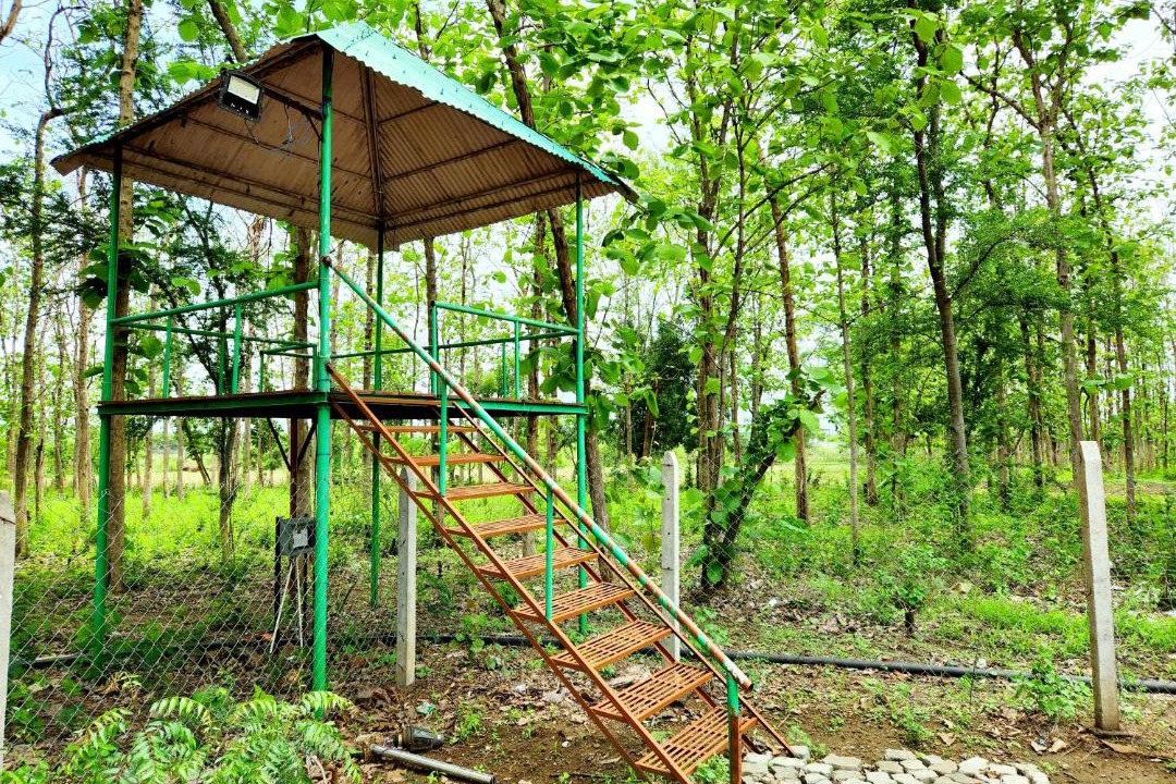 Photo of Buildings in Wardha