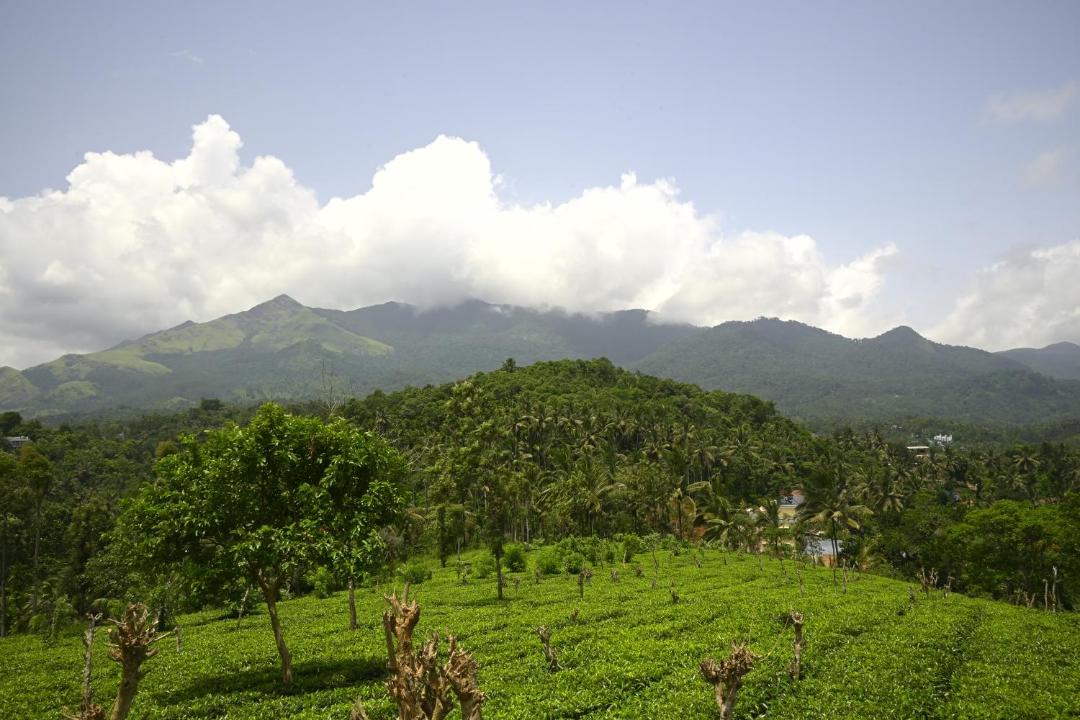 Photo of Others in Kunnathidavaka
