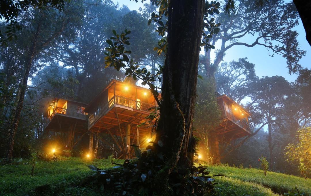 Photo of Others in Munnar