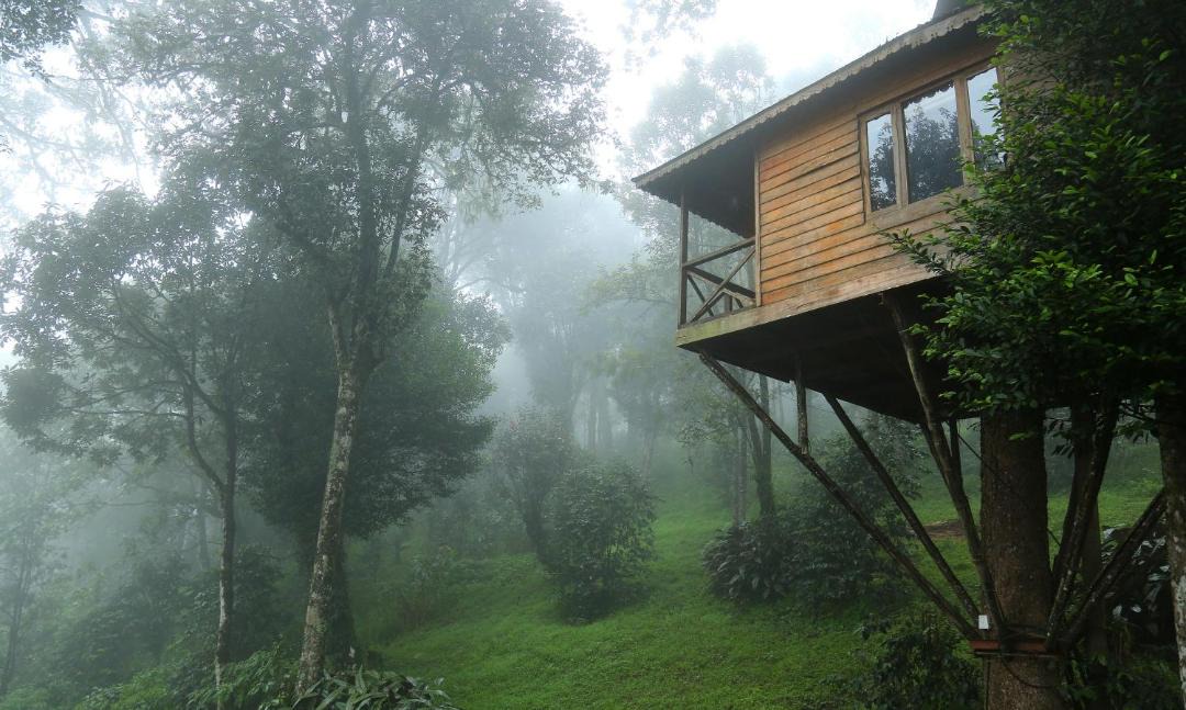 Photo of Others in Munnar