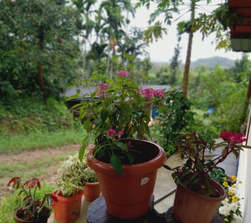 Photo of Others in Sakleshpur