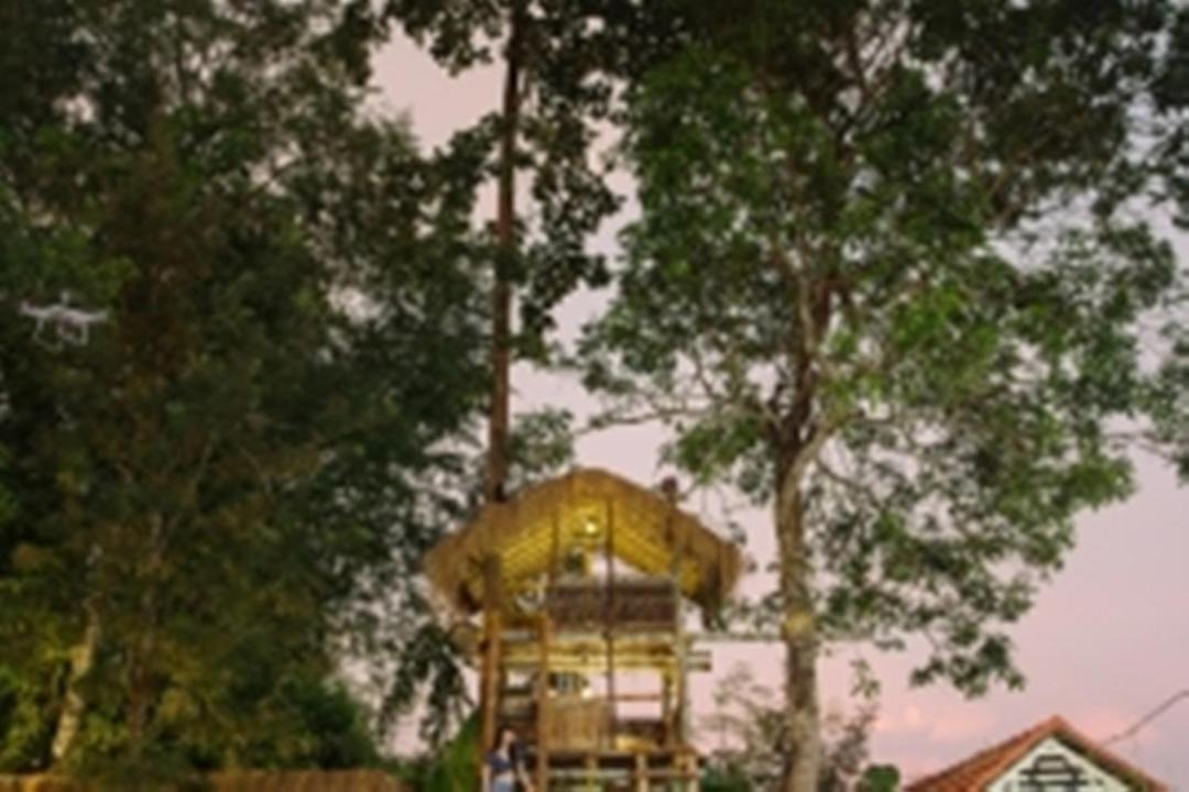 Photo of Others in Mananthavady