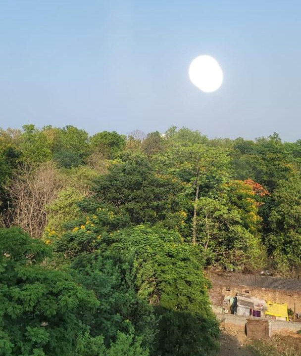 Photo of Others in Seraikela