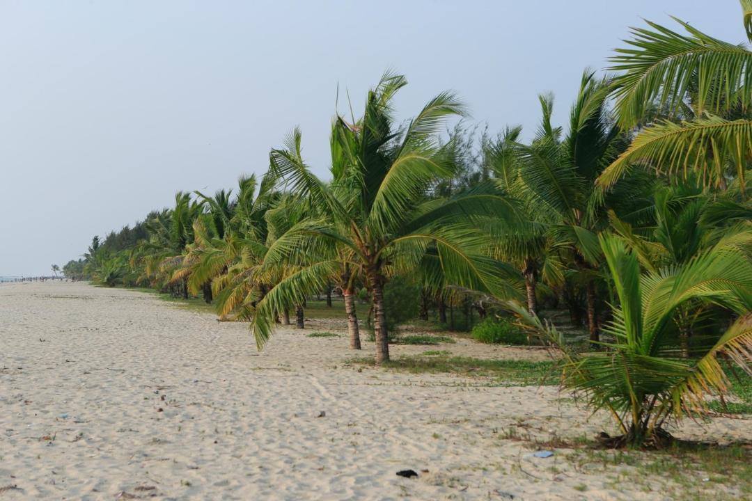 Photo of Others in Mararikulam