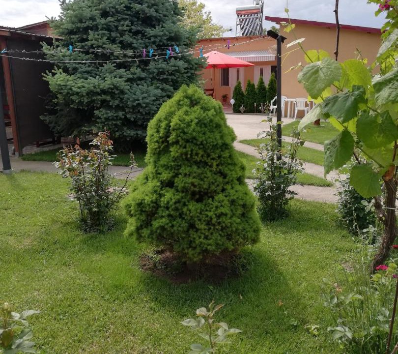 Photo of Others in Corbu