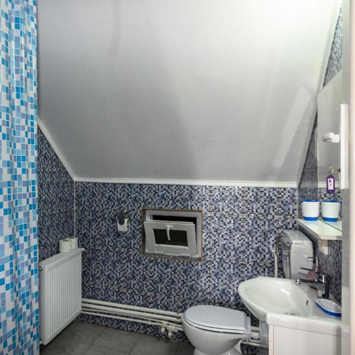 Photo of Bathroom in Budesti
