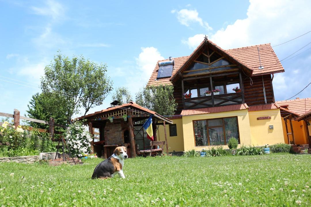 Photo of Others in Pui