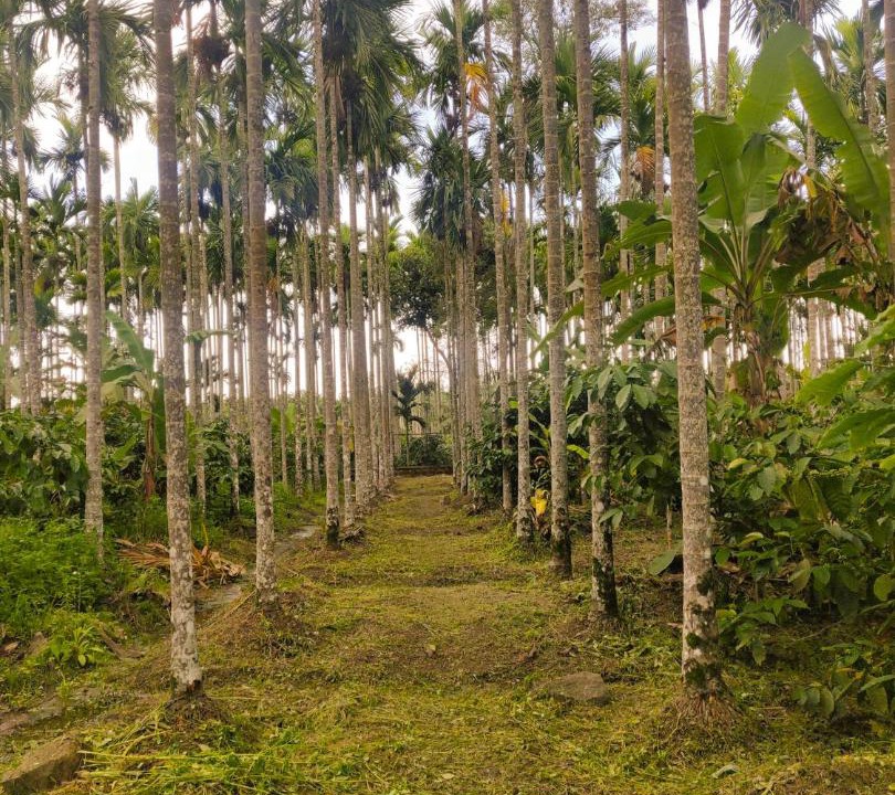 Photo of Others in Virarajendrapet
