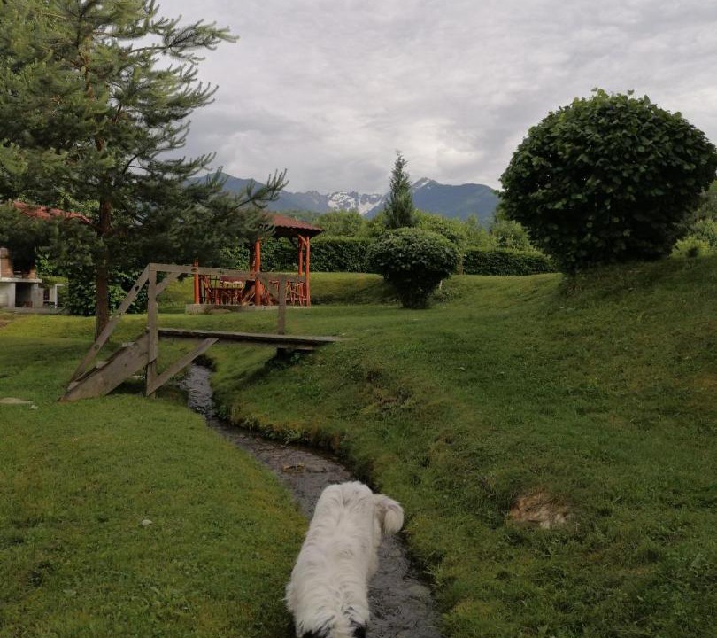 Photo of Others in Arpasu de Sus