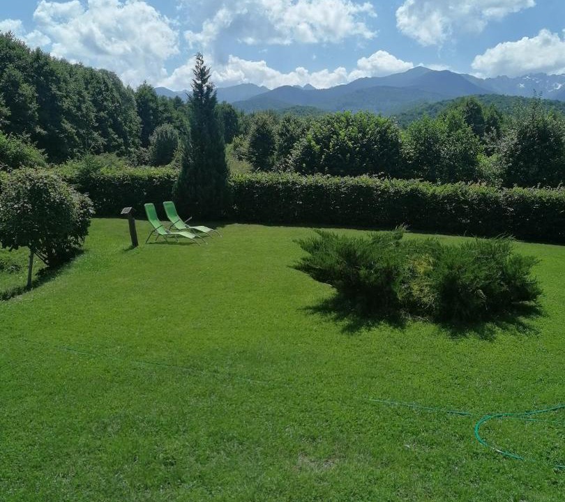 Photo of Others in Arpasu de Sus
