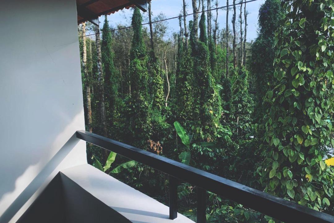 Photo of Patio Balcony in Belur