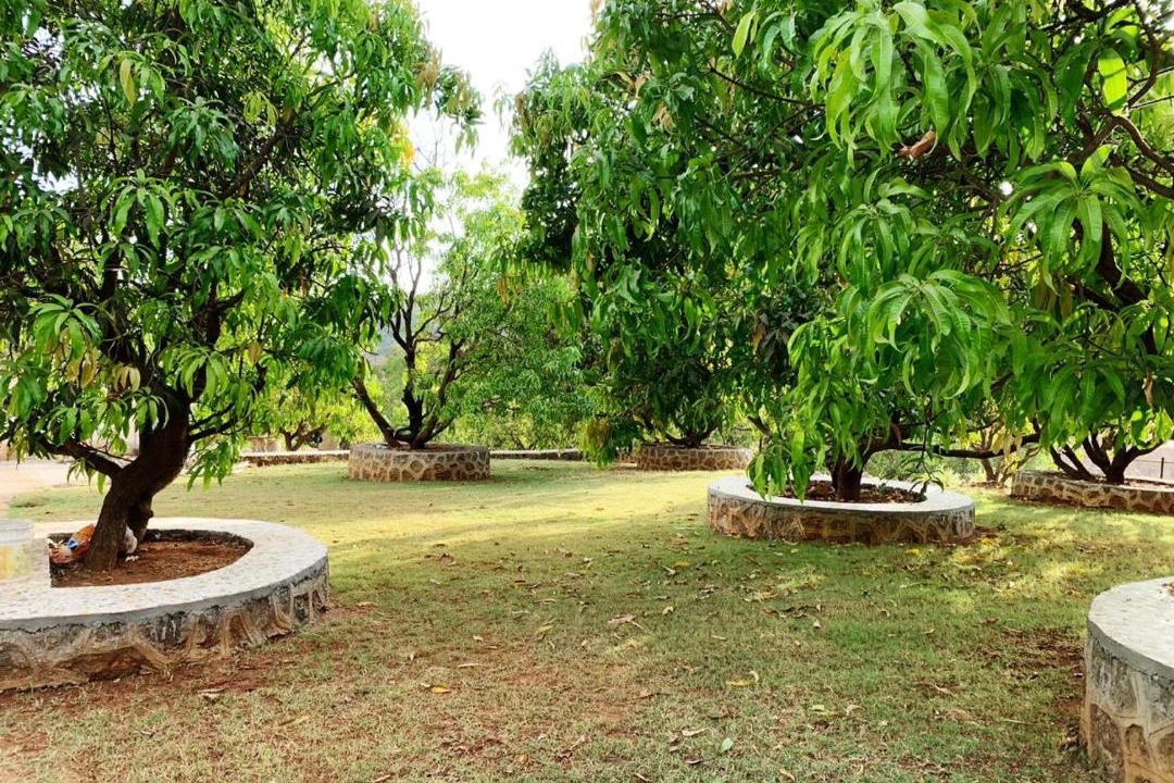Photo of Others in Durshet