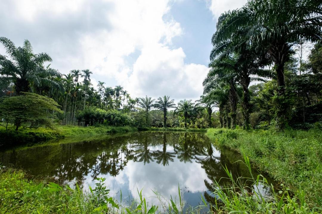 Photo of Outdoor in Virajpet