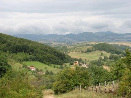 Photo of Others in Balta
