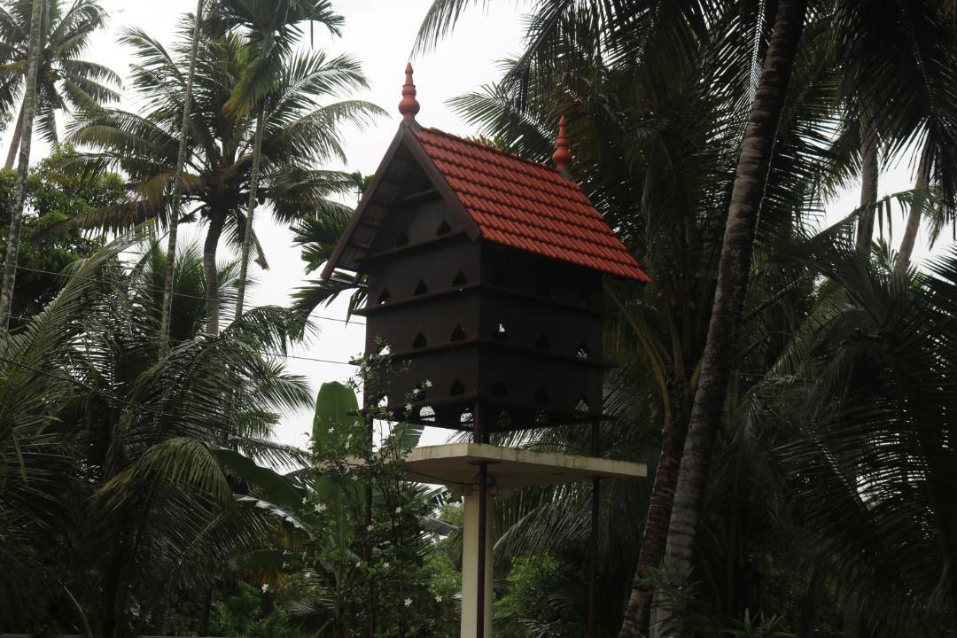 Photo of Others in Mankombu
