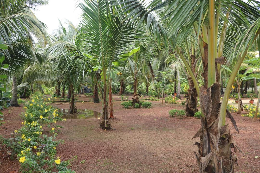 Photo of Others in Mankombu