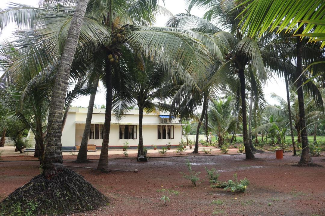 Photo of Others in Mankombu