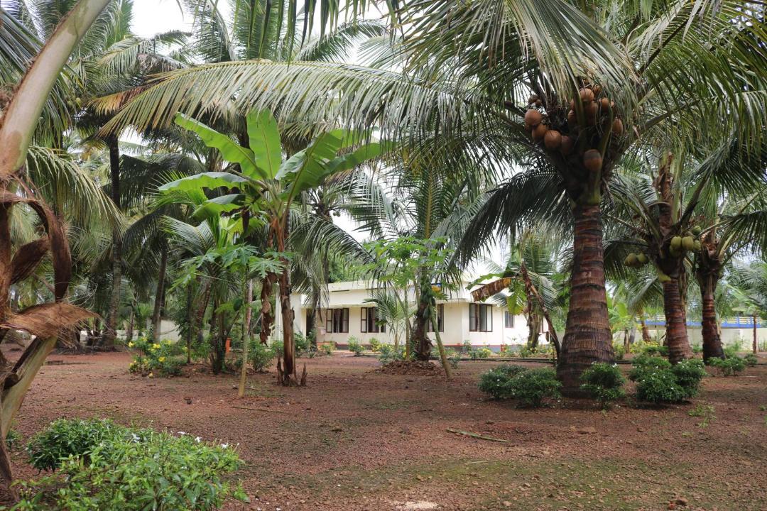 Photo of Others in Mankombu