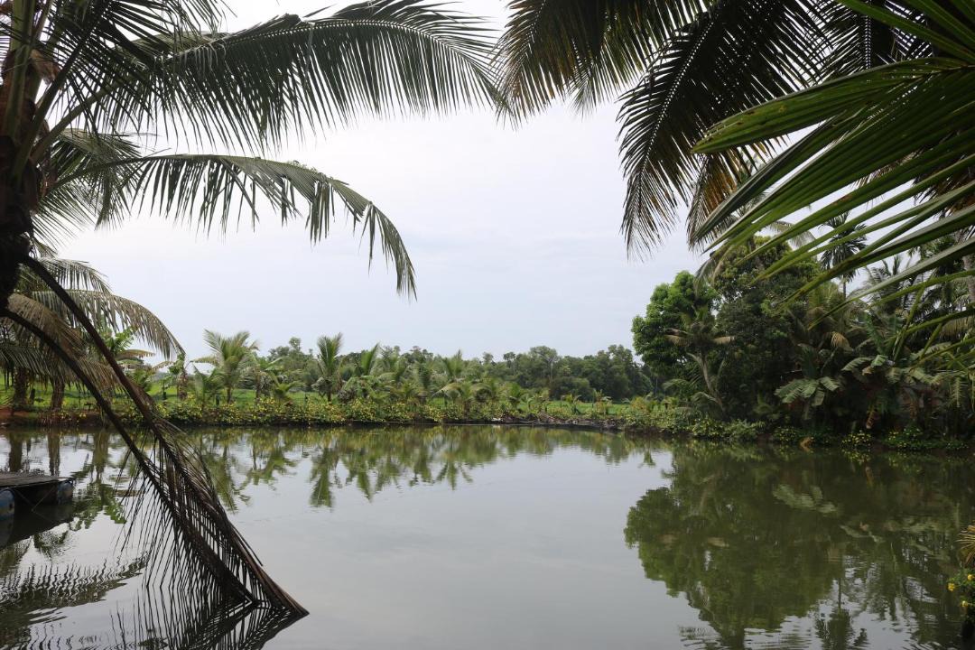 Photo of Others in Mankombu