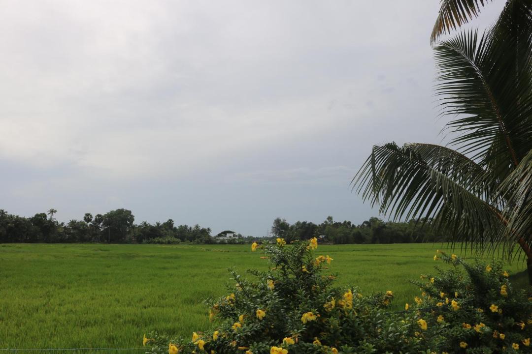 Photo of Others in Mankombu