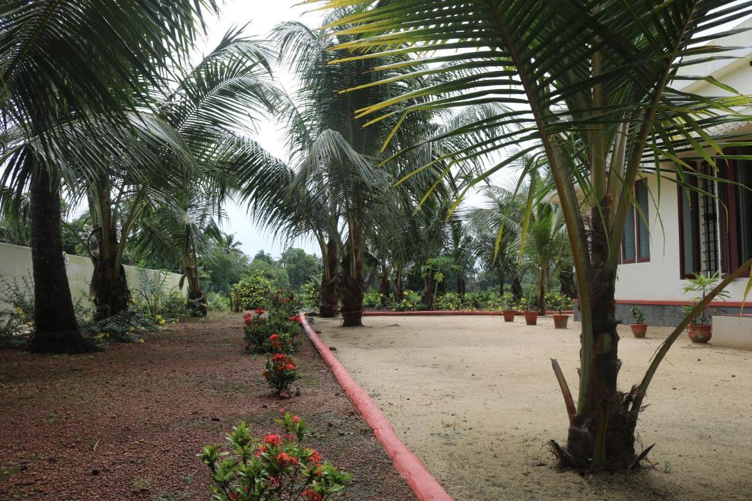 Photo of Others in Mankombu