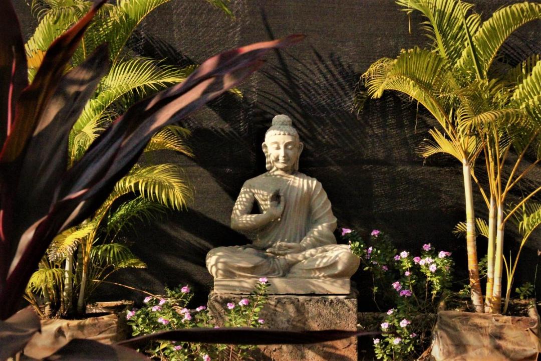Photo of Others in Arambol