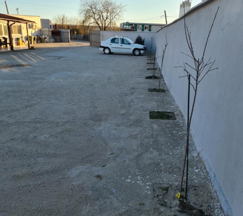 Photo of Others in Cosoveni