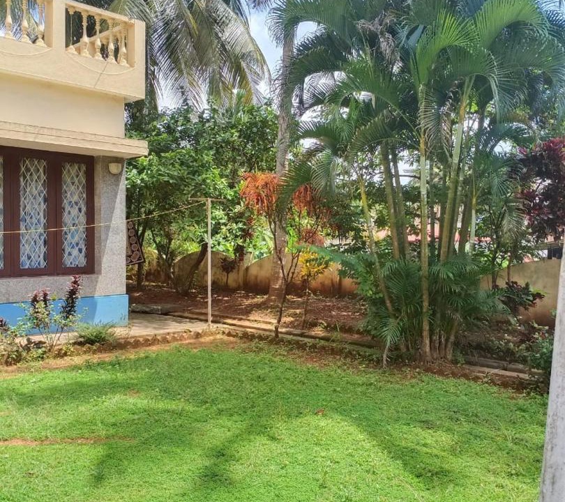 Photo of Buildings in Mangalore