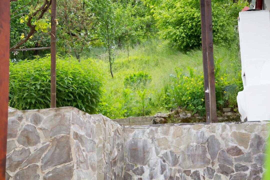 Photo of Others in Sighisoara