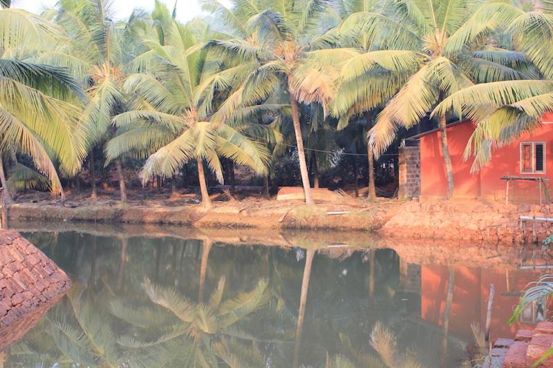 Photo of Outdoor in Kumta