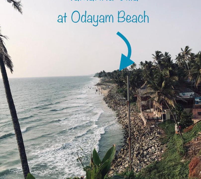 Photo of Others in Varkala
