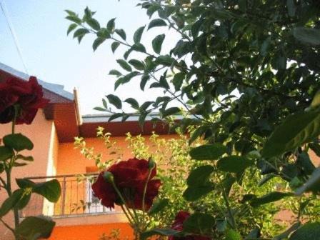 Photo of Others in Suceava