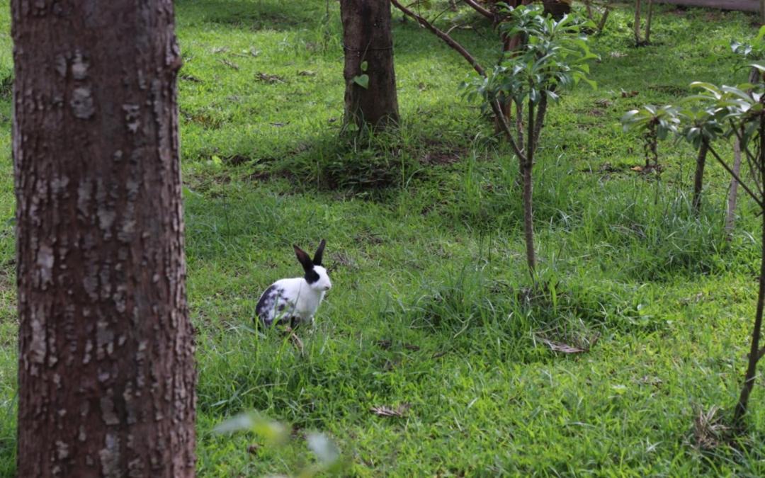 Photo of Others in Kushalnagar