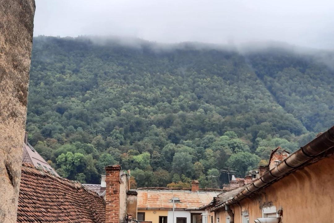 Photo of Others in Brasov City Centre