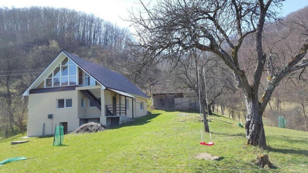 Photo of Buildings in Bratca