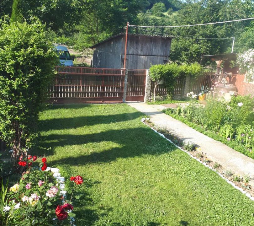 Photo of Others in Nehoiu