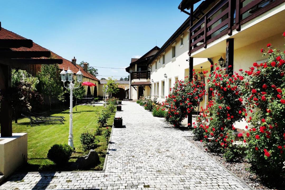Photo of Others in Sinca Veche