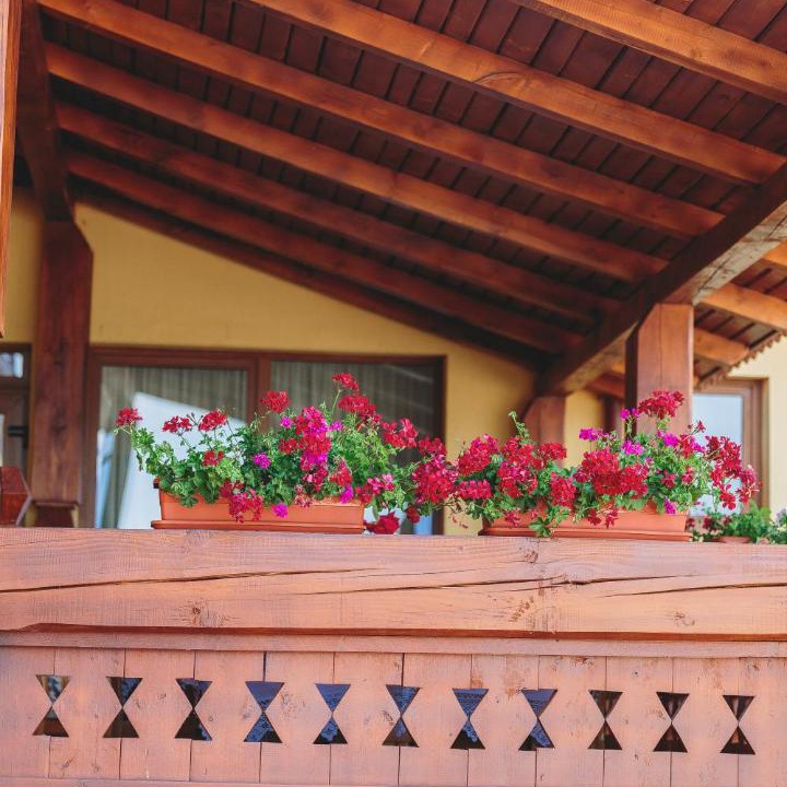Photo of Patio Balcony in Calinesti