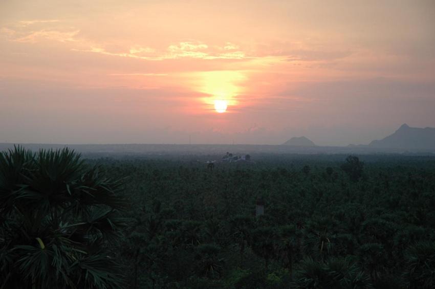 Photo of Others in Nagercoil