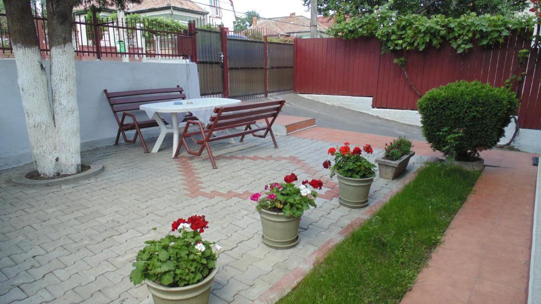 Photo of Others in Cluj-Napoca
