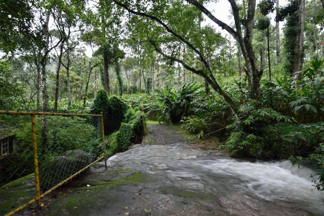 Photo of Others in Elappara