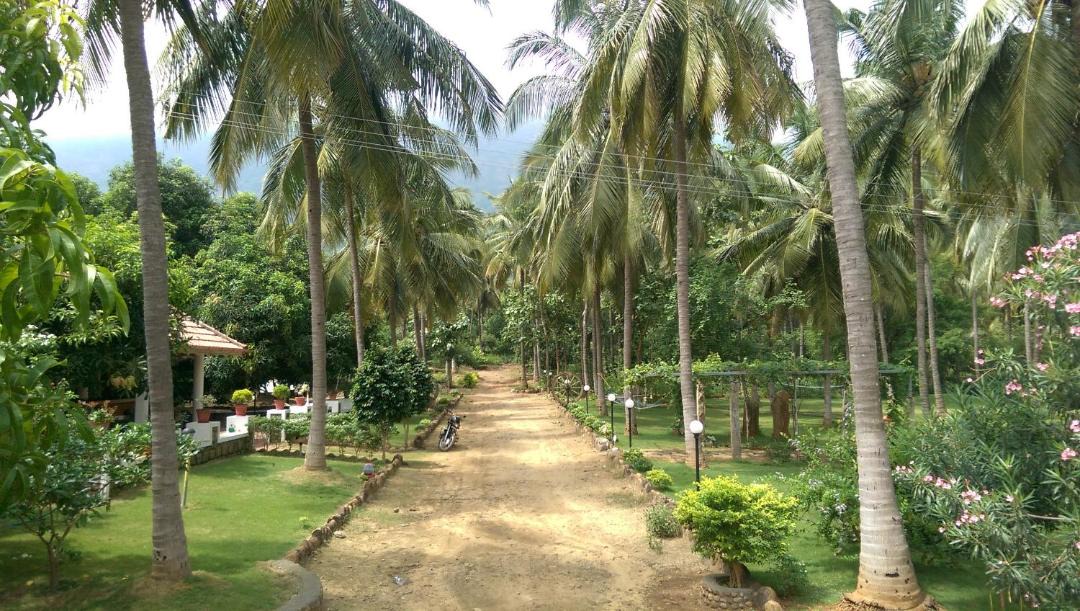 Photo of Others in Chittur