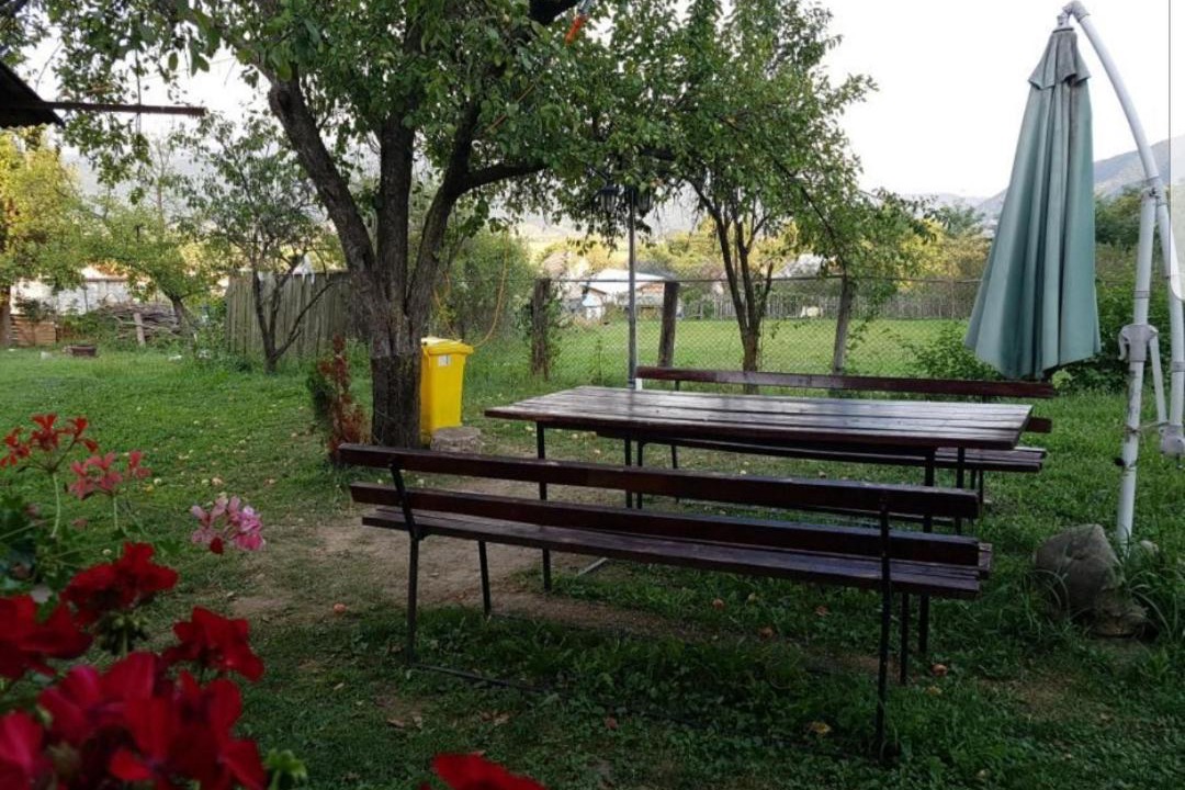 Photo of Others in Calimanesti