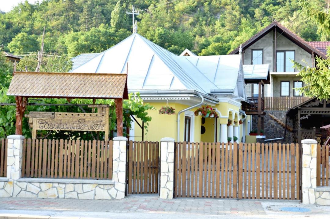 Photo of Others in Tirgu Neamt