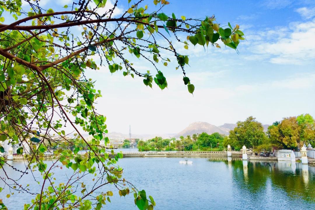 Photo of Others in Lake Swaroop Sagar