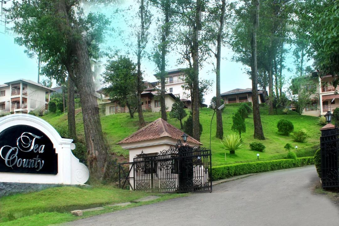 Photo of Others in Munnar